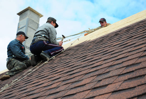 Best Gutter Installation and Roofing  in Cedartown, GA